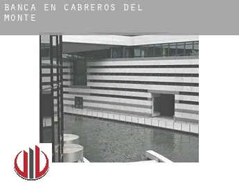 Banca en  Cabreros del Monte