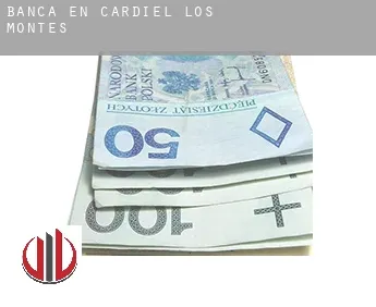 Banca en  Cardiel de los Montes