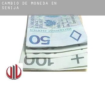 Cambio de moneda en  Senija