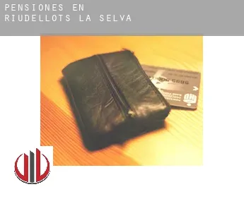 Pensiones en  Riudellots de la Selva