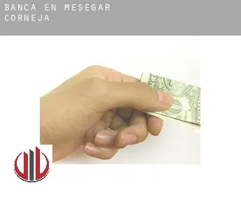 Banca en  Mesegar de Corneja