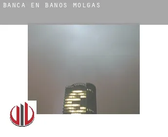 Banca en  Baños de Molgas