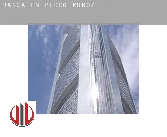Banca en  Pedro Muñoz
