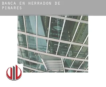 Banca en  Herradón de Pinares