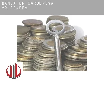 Banca en  Cardeñosa de Volpejera