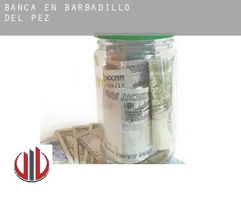 Banca en  Barbadillo del Pez