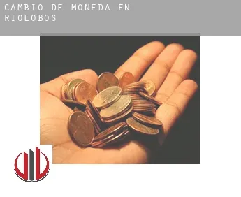 Cambio de moneda en  Ríolobos