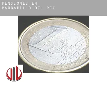 Pensiones en  Barbadillo del Pez