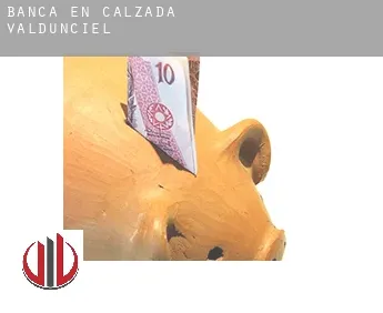 Banca en  Calzada de Valdunciel