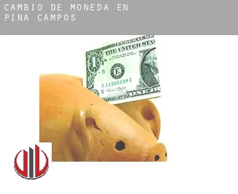 Cambio de moneda en  Piña de Campos