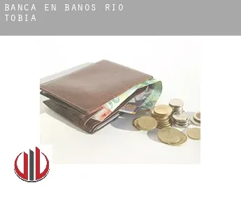 Banca en  Baños de Río Tobía