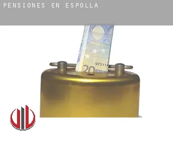 Pensiones en Espolla