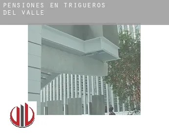 Pensiones en  Trigueros del Valle