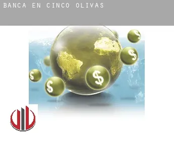 Banca en  Cinco Olivas