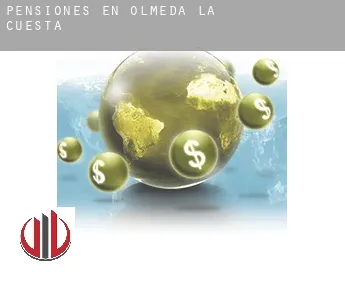 Pensiones en  Olmeda de la Cuesta